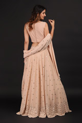Beige Waves Butis LehengaIMG_0194