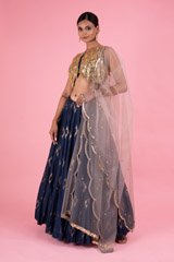 Blue Embellished LehengaDSC02739