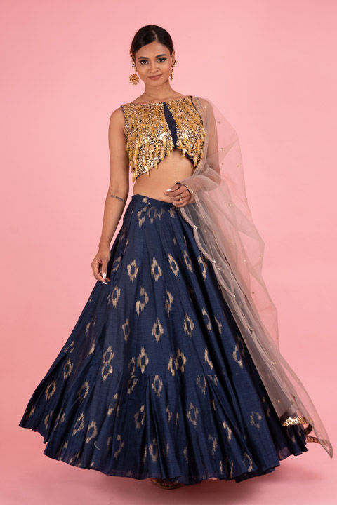 Blue Embellished Lehenga