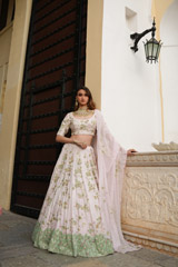 Pink Zari LehengaDSC04952
