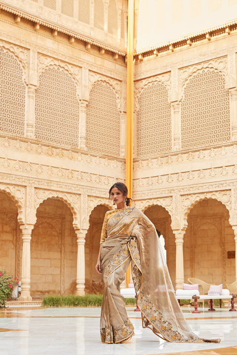 Doily Tissue Saree With Blouse