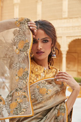 Doily Tissue Saree With Blouse2