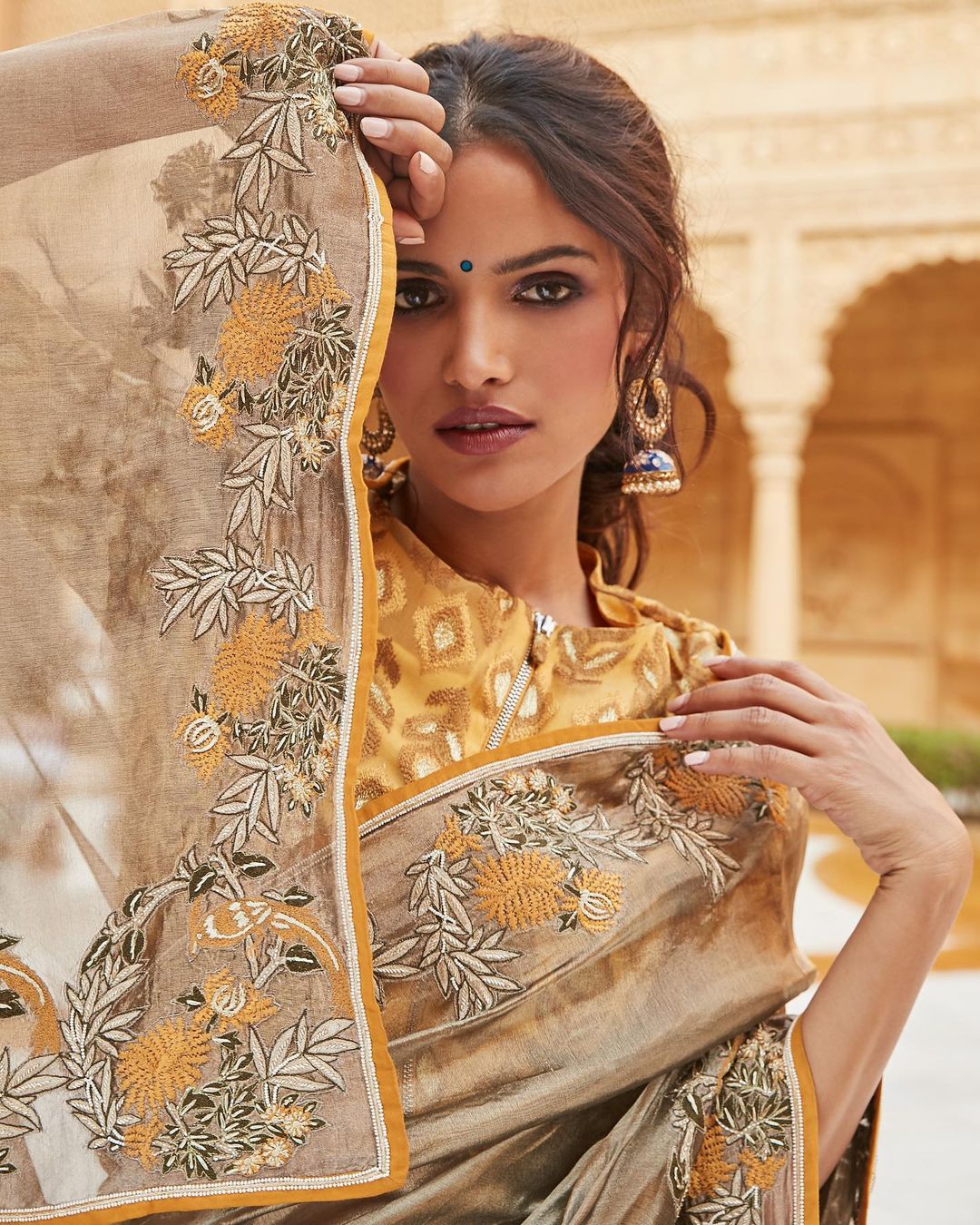 Doily Tissue Saree With Blouse3