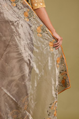 Doily Tissue Saree With BlouseDSC07343