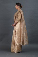 Inlay Flower Tissue SareeIMG_5772