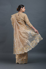 Inlay Flower Tissue SareeIMG_5784