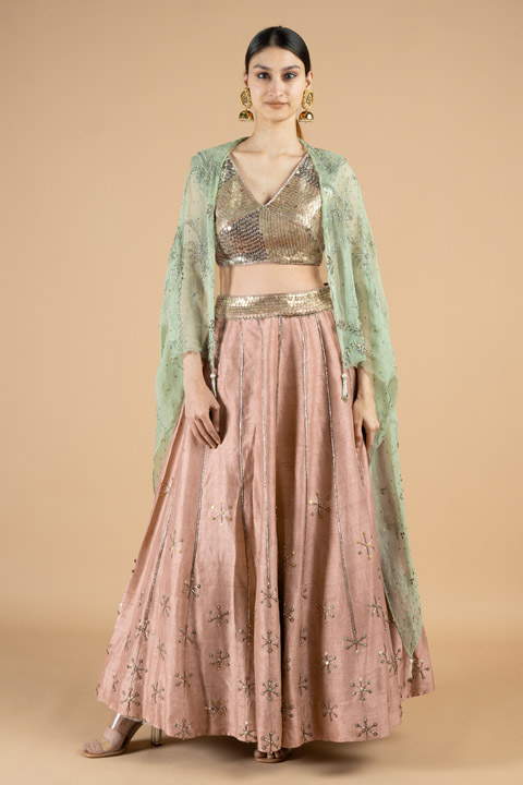 Muted Pink Sequin Lehenga