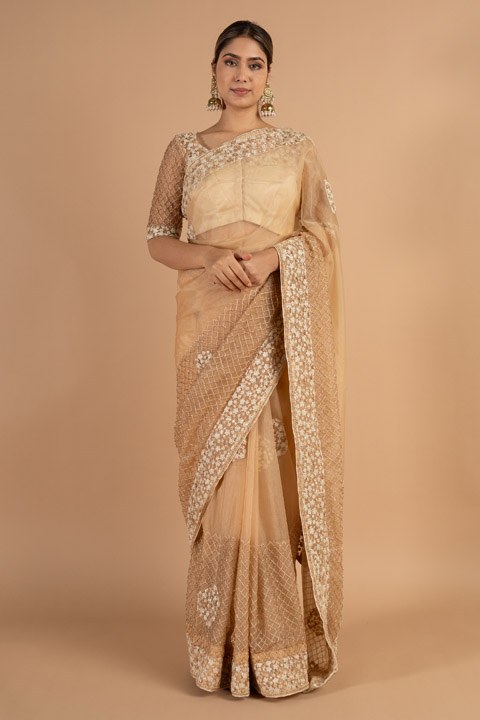 Biege Saree and Blouse Set