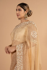 Biege Saree and Blouse SetDSC00915