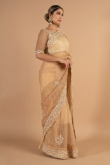 Biege Saree and Blouse SetDSC00917
