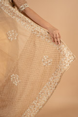 Biege Saree and Blouse SetDSC00922