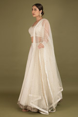 Gold Foil Printed LehengaDSC02325