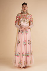 Blush Net Lehenga with Mirror