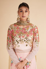 Blush Net Lehenga with MirrorDSC00547