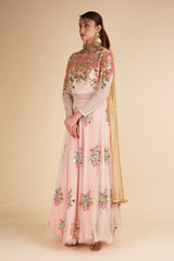 Blush Net Lehenga with MirrorDSC00549