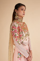 Blush Net Lehenga with MirrorDSC00552