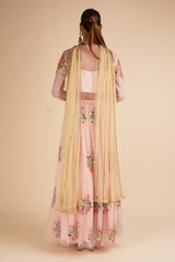 Blush Net Lehenga with MirrorDSC00555