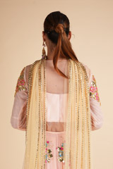 Blush Net Lehenga with MirrorDSC00556