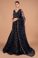 Navy Blue Godet LehengaDSC01723