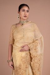 Golden SareeDSC05903