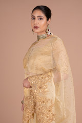 Golden SareeDSC05905