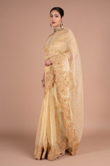 Golden SareeDSC05906