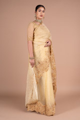 Golden SareeDSC05907