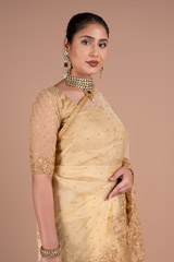 Golden SareeDSC05908