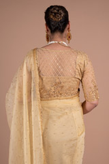 Golden SareeDSC05911