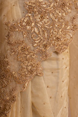 Golden SareeDSC05912