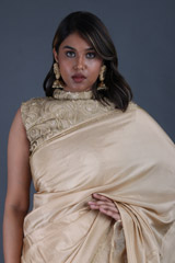 Matte Gold Ruffle SareeIMG_5102