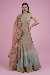 Ombre Jaal Work Lehenga SetDSC02485
