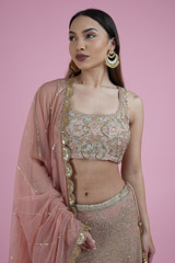 Ombre Jaal Work Lehenga SetDSC02486