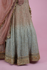 Ombre Jaal Work Lehenga SetDSC02487