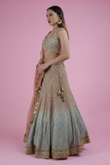 Ombre Jaal Work Lehenga SetDSC02488
