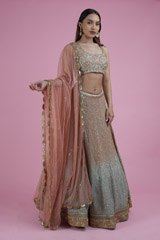 Ombre Jaal Work Lehenga SetDSC02489