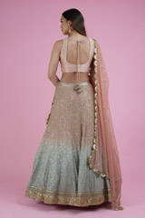 Ombre Jaal Work Lehenga SetDSC02493