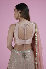 Ombre Jaal Work Lehenga SetDSC02494