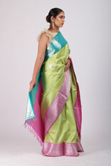 Parrot Green SareeIMG_9452