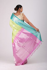 Parrot Green SareeIMG_9458