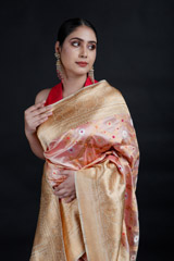 Pink Geometric Floral Banarasi Saree_MG_9109
