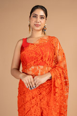 Red Net SareeDSC08469