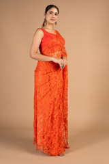 Red Net SareeDSC08472