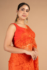 Red Net SareeDSC08473