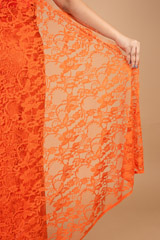 Red Net SareeDSC08474