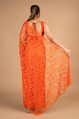 Red Net SareeDSC08475