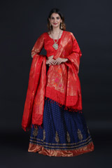 Blue Katdana Lehenga2507_video
