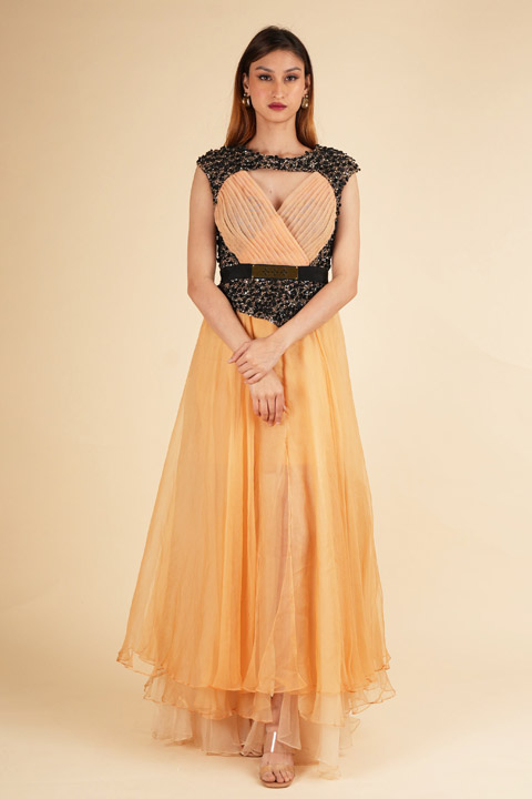 Gold Embellished Gown