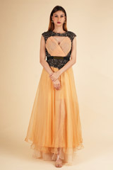 Gold Embellished Gown