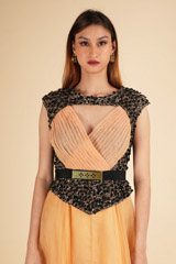 Gold Embellished GownDSC01666